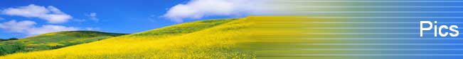 Pics