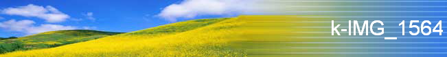 k-IMG_1564